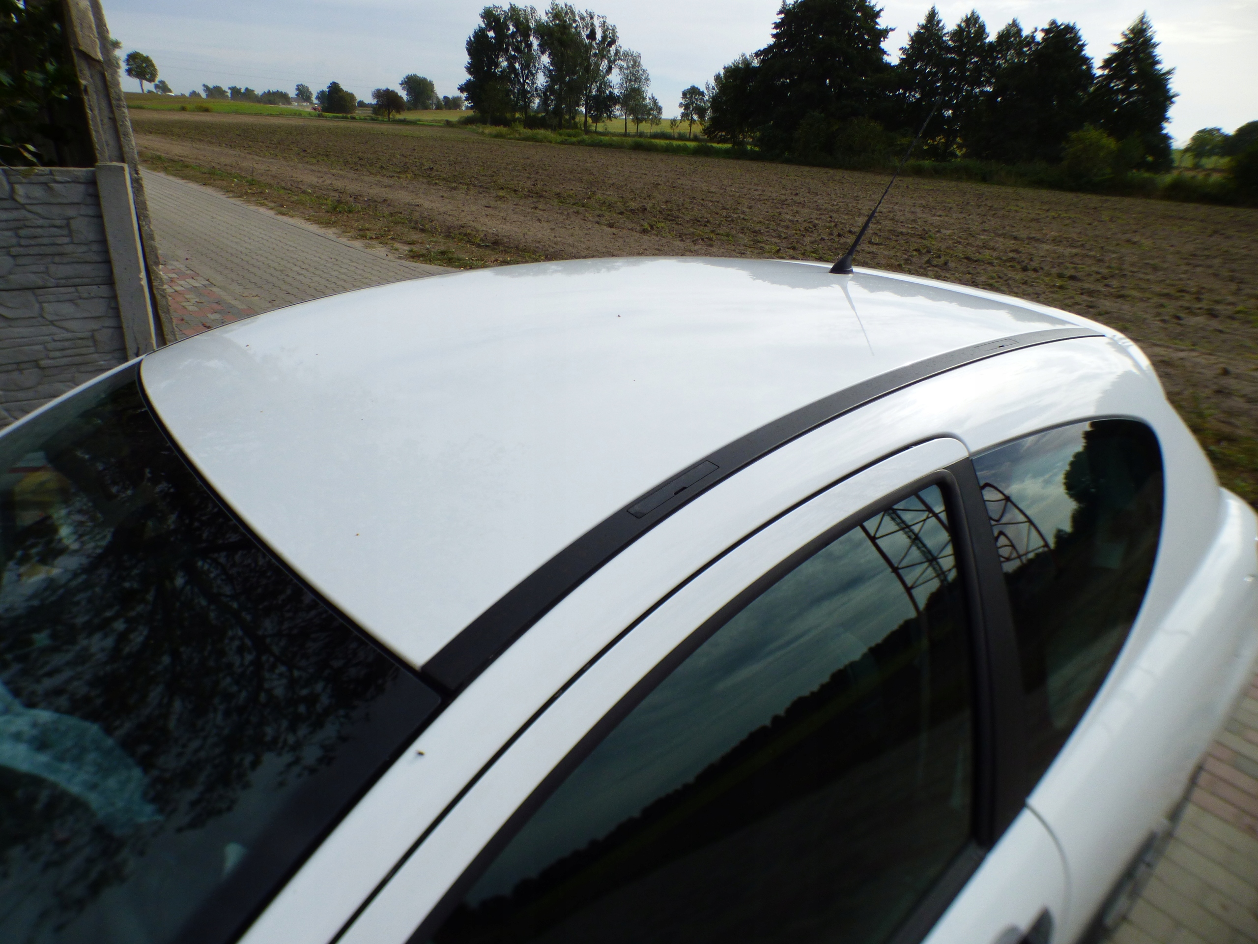 dach Säule EWP lakier Original PEUGEOT 207 3D