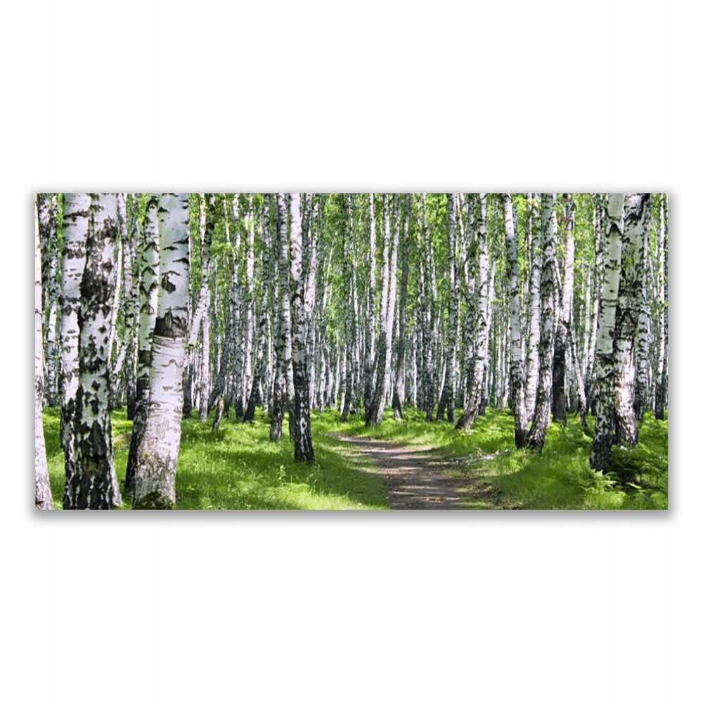 

Fotoobraz akryl 120x60 Las Ścieżka Natura Drzewa