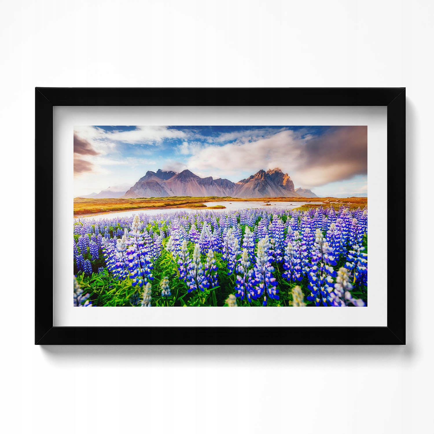 Nástěnný dekorativní obraz v rámu s grafikou Kouzelné květy lupina 30x20 cm
