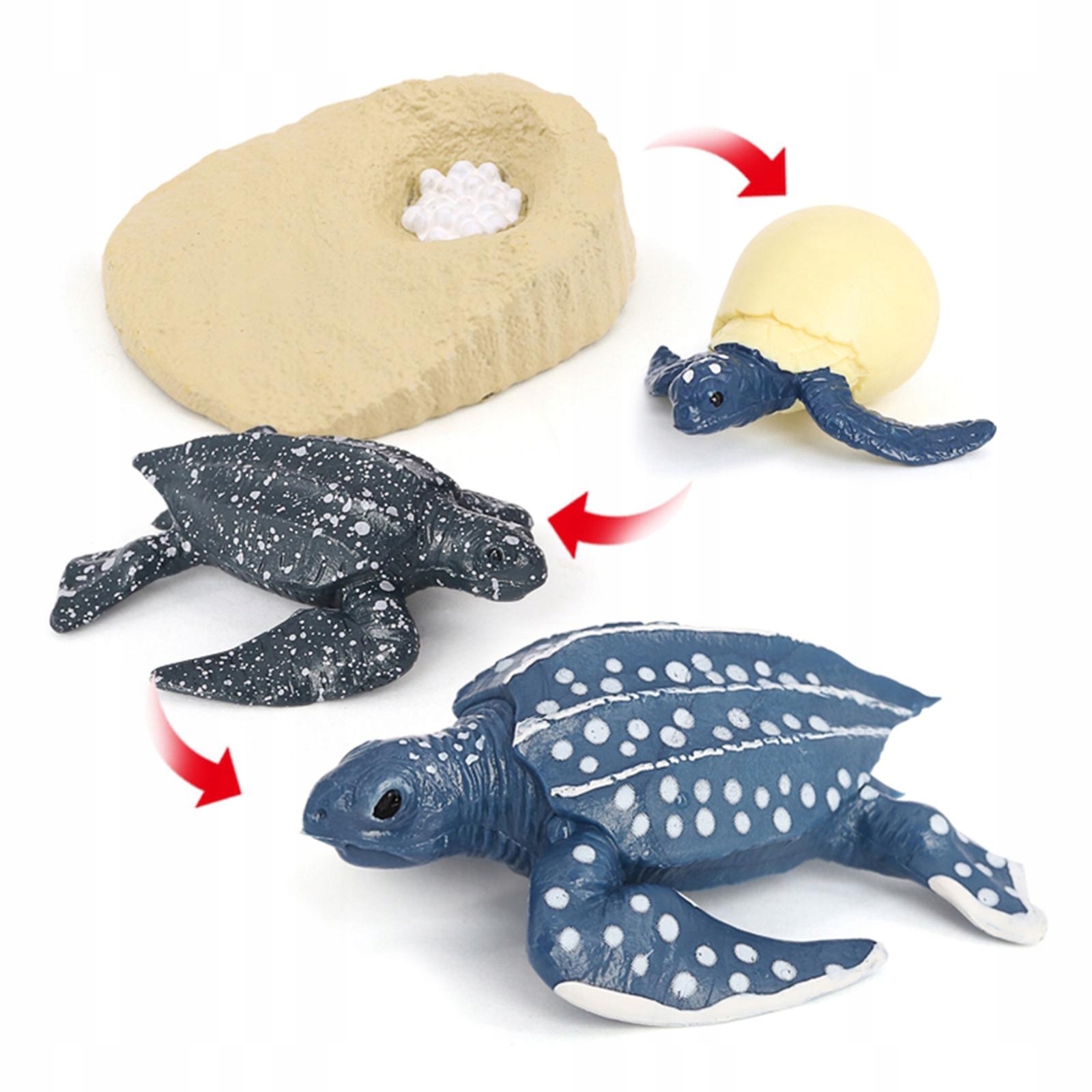 Simulation Animals Growth Cycle Leatherback Turtle Wiek dziecka 0 +