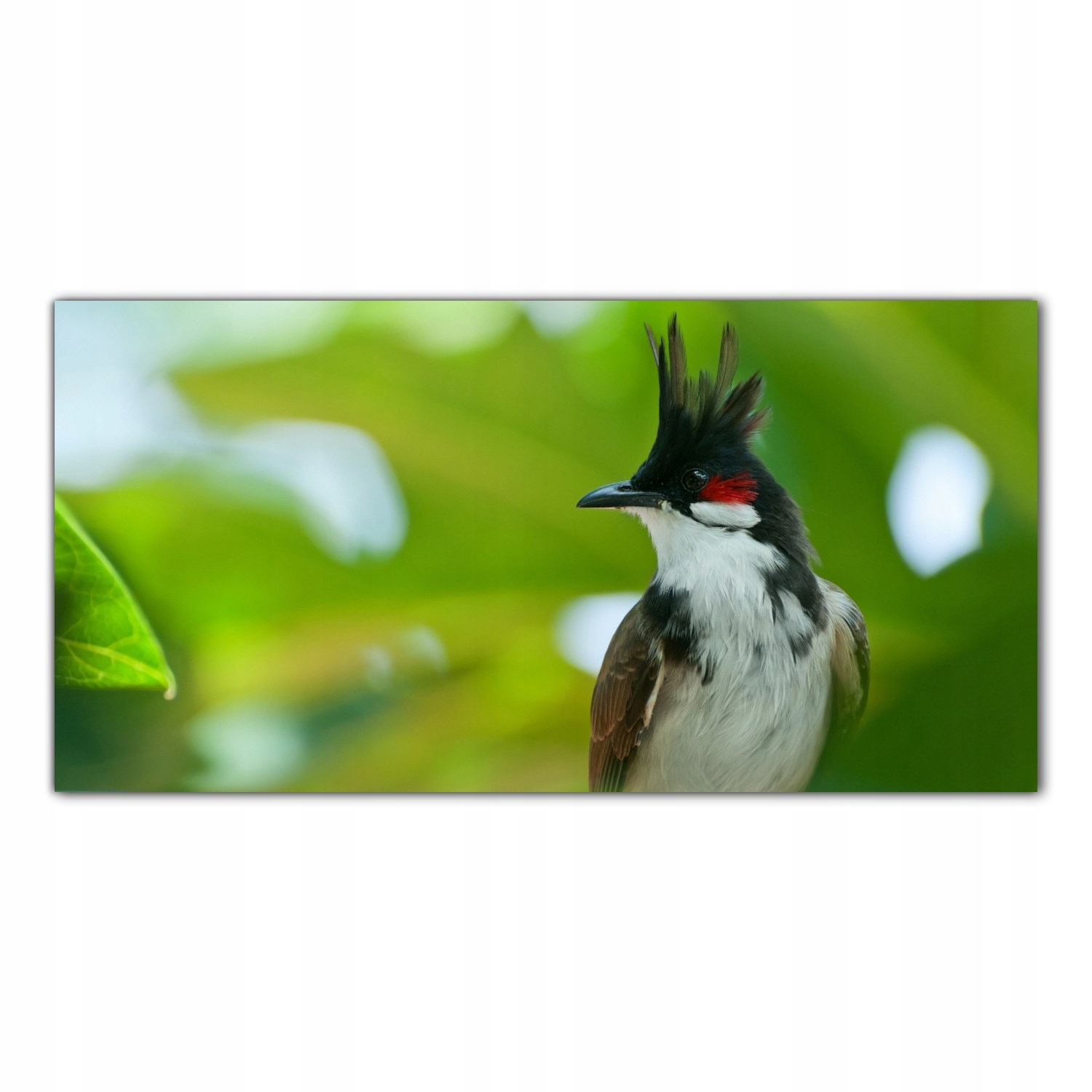 

Obraz Szklany Foto-obraz Tropiki Ptak Las 140x70