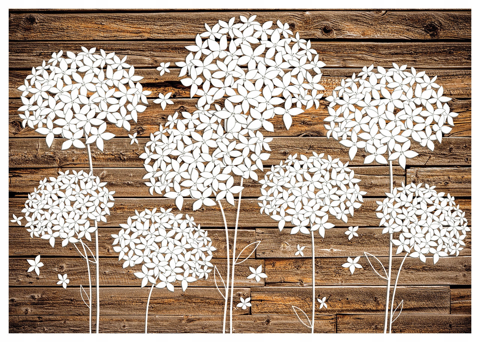 Fototapeta Bílé květy na dřevě, skandinávský styl 368x254 lepidlo