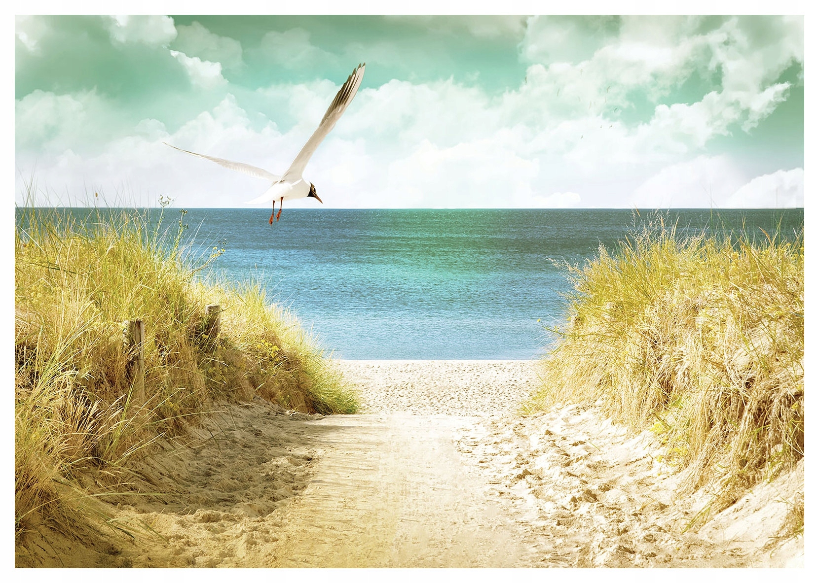Fototapeta Morský vánok Piesok Piesočné duny Čajky Pokoj Príroda 300x210 lepidlo