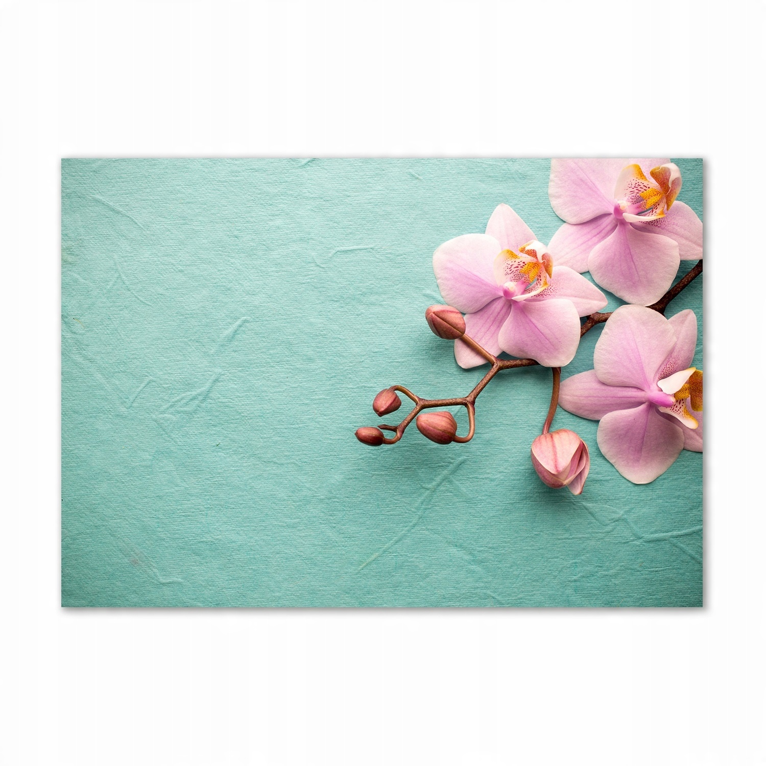 

Foto obraz szkło hartowane Orchidea 100x70