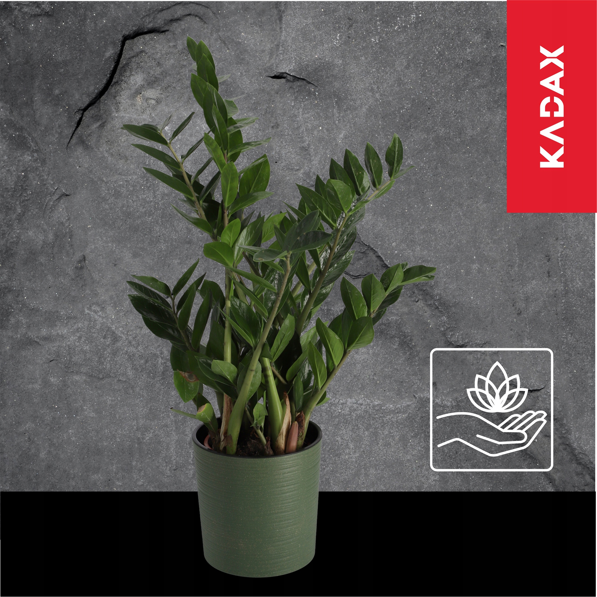 DONICZKA OSŁONKA DONICA MISA NA KWIATY KOLORY 30cm Marka Kadax