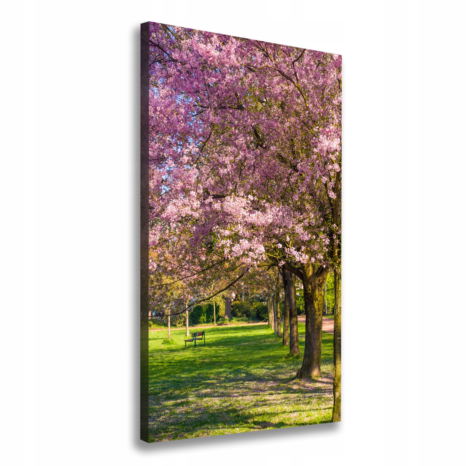 

Foto obraz canvas do salonu Drzewa wiśni 60x120