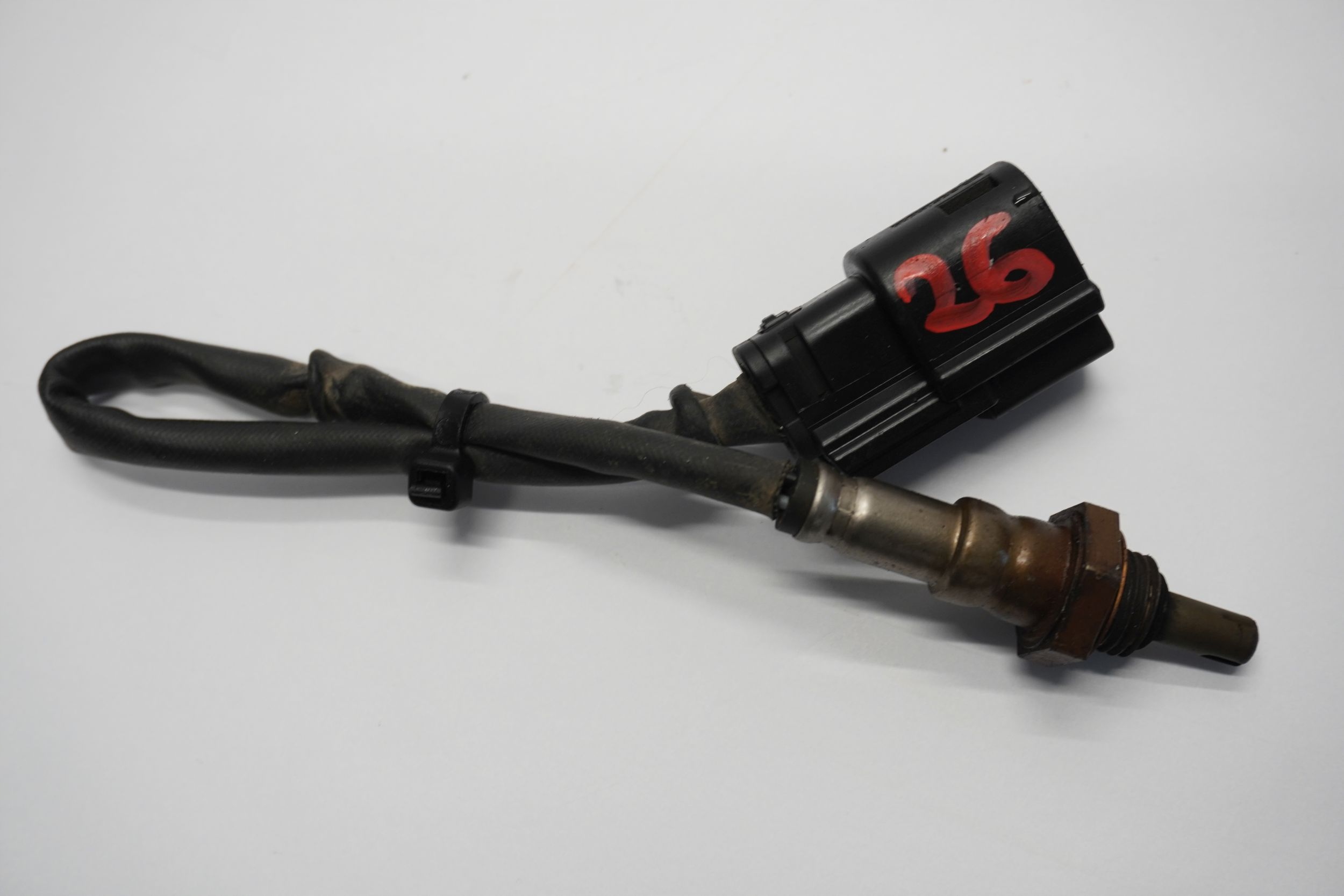 HARLEY DAVIDSON PAN AMERICA 1250 SONDA LAMBDA