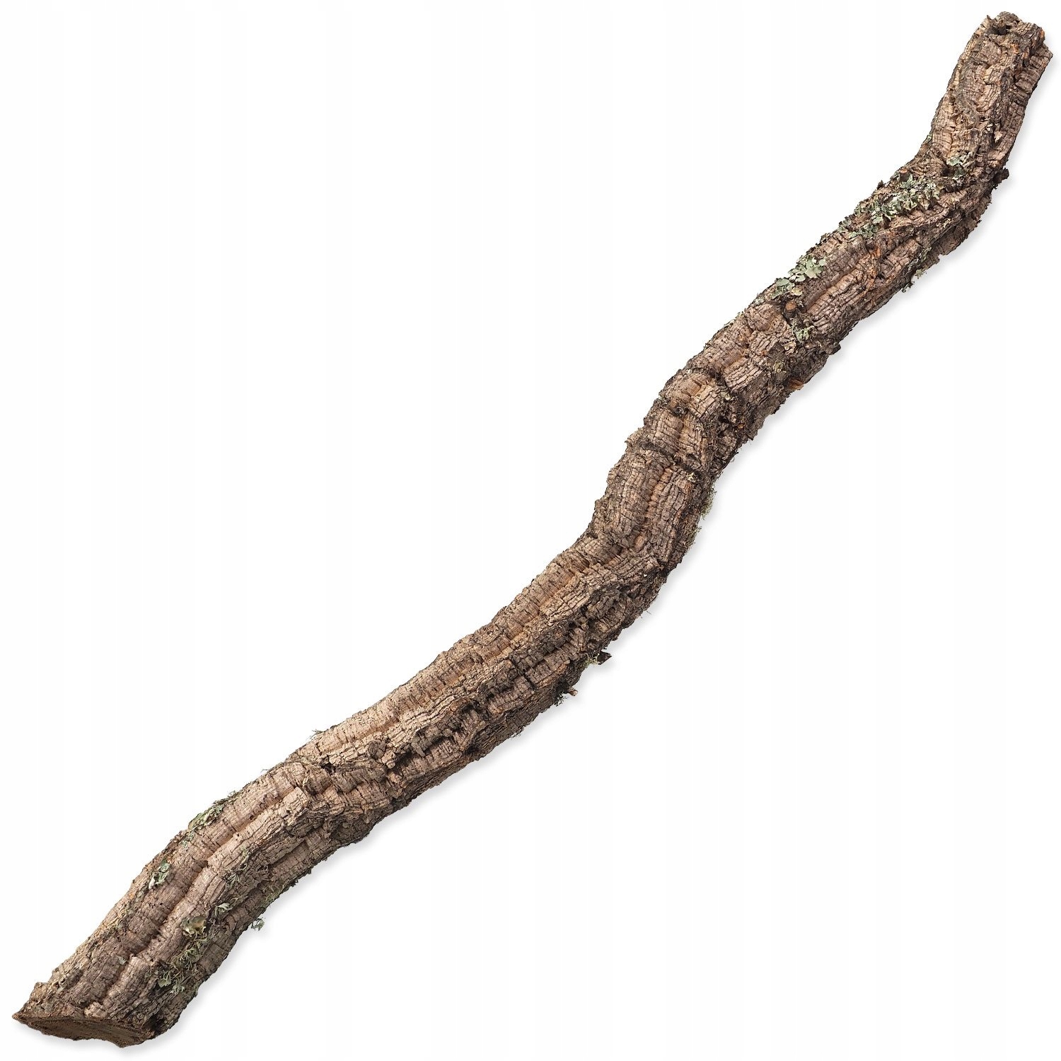 Levně Dekorace Repti Planet Korková větev XL 90cm-120cm