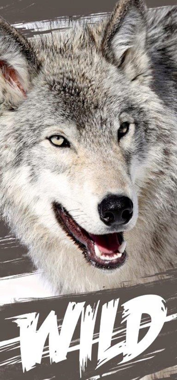 

Ręcznik Kąpielowy Plażowy 70x140 Wilk Wolf Wild
