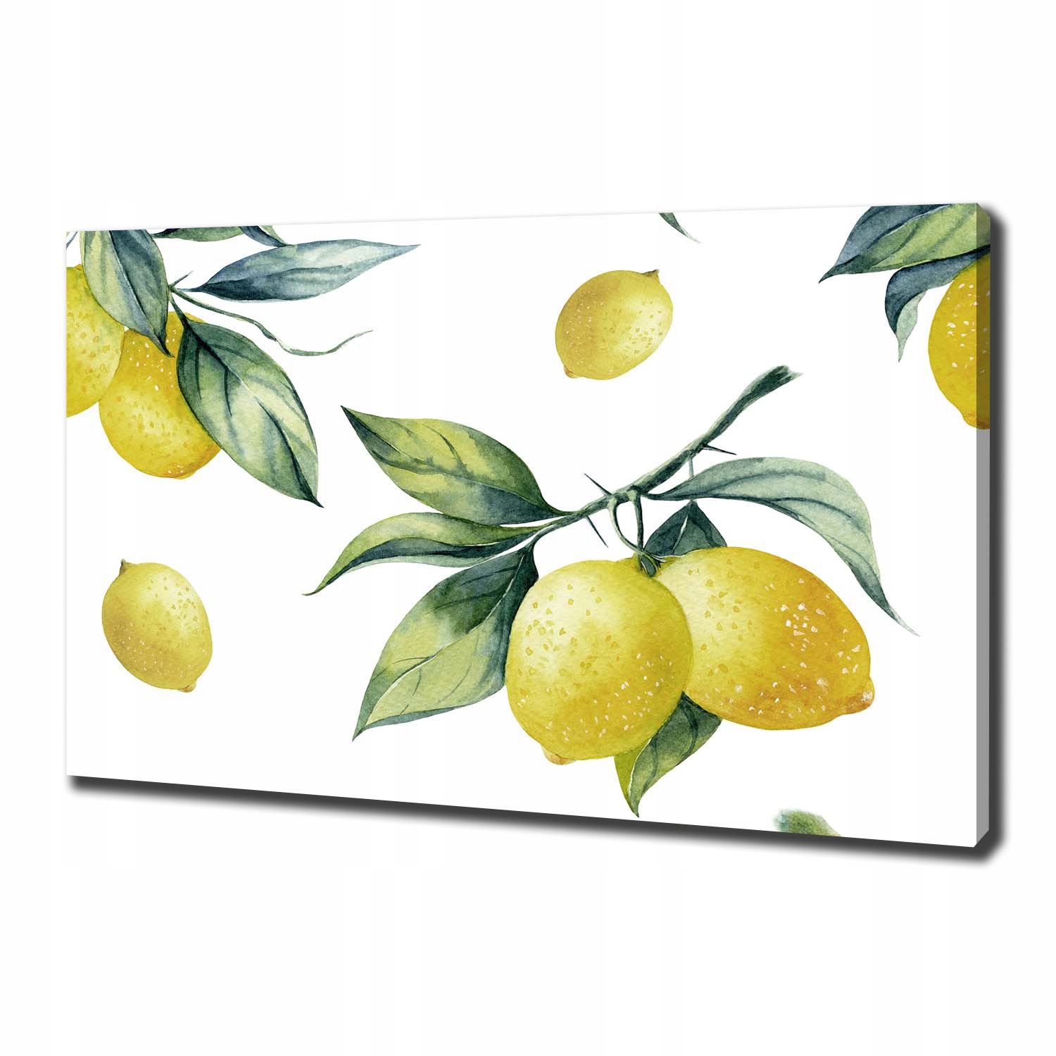 

Foto obraz canvas na ścianę Cytryny 100x70 cm