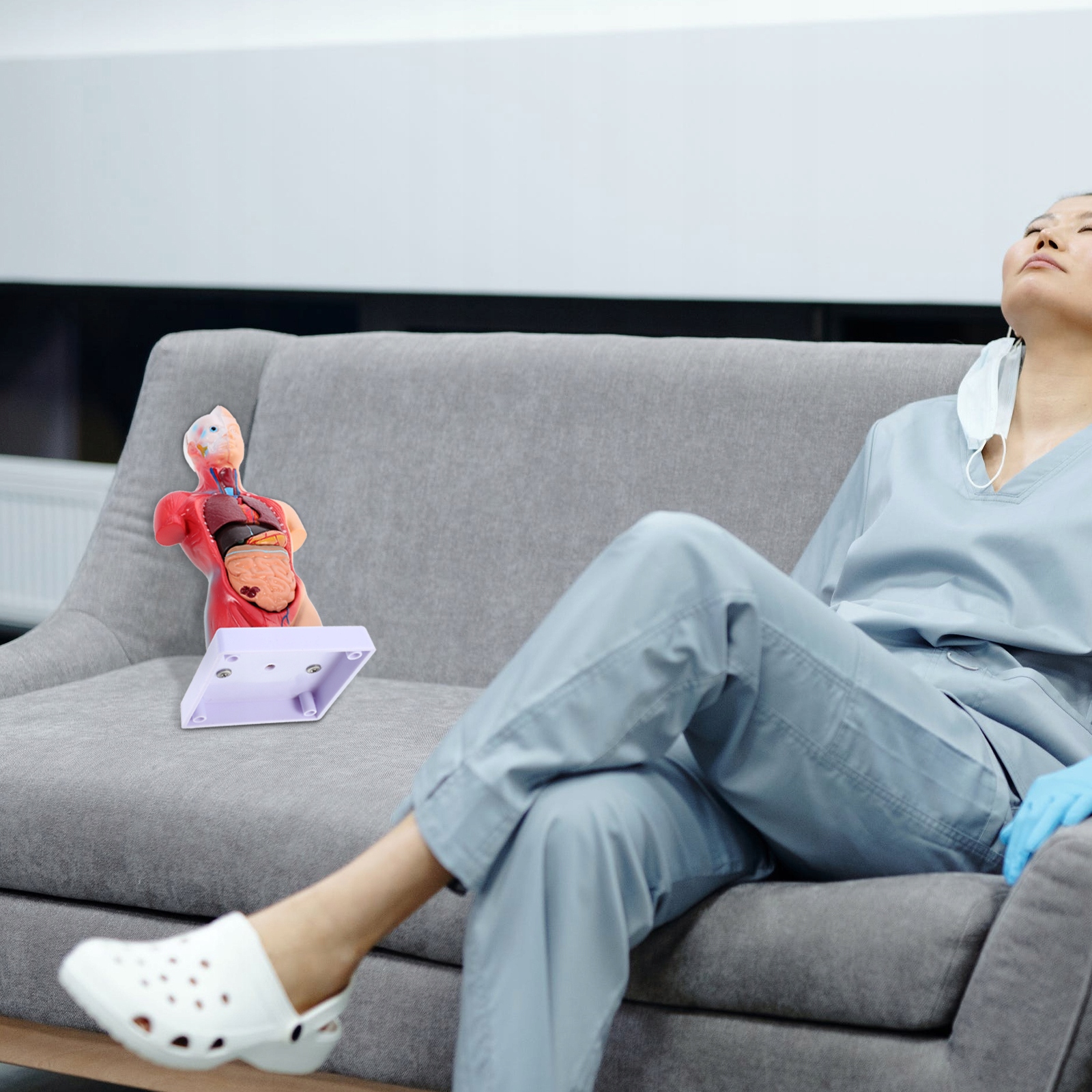 Manekin Anatomia Narządów Model Rysunek Dziecko Marka inna