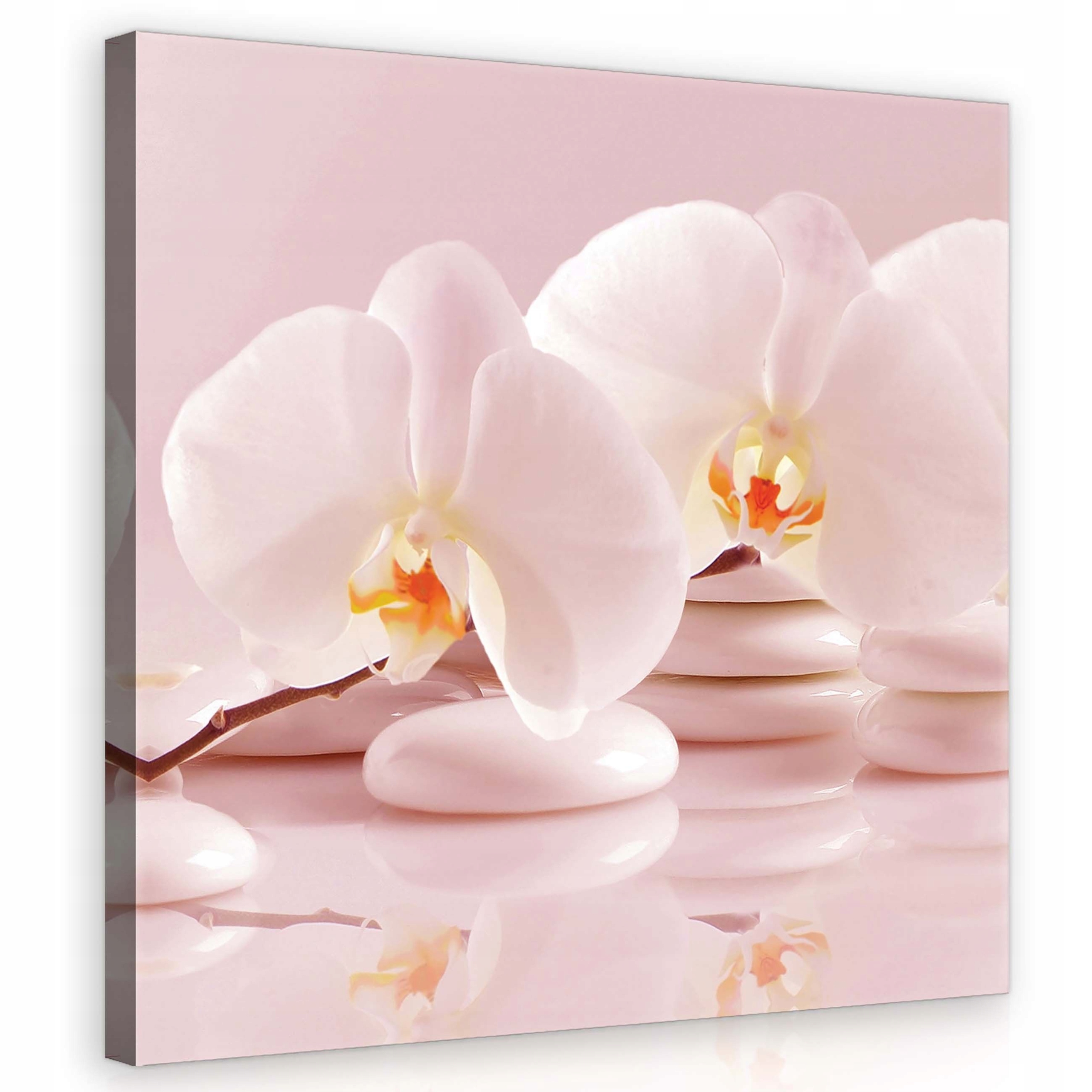 Obraz 80x80 Orchideje bílé květy kameny zen klid harmonie jemnost