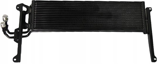 33171431901 - Масляний радіатор Vika