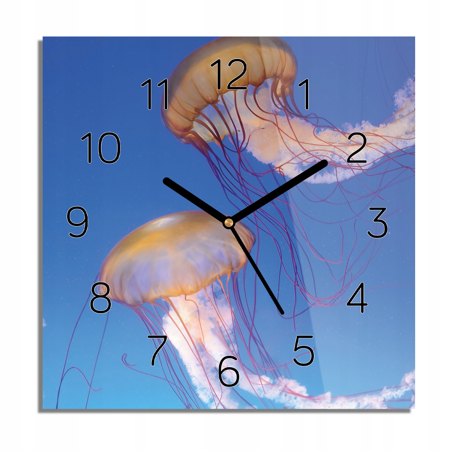 

Meduzy ocean morze zegar szklany do biura 30x30