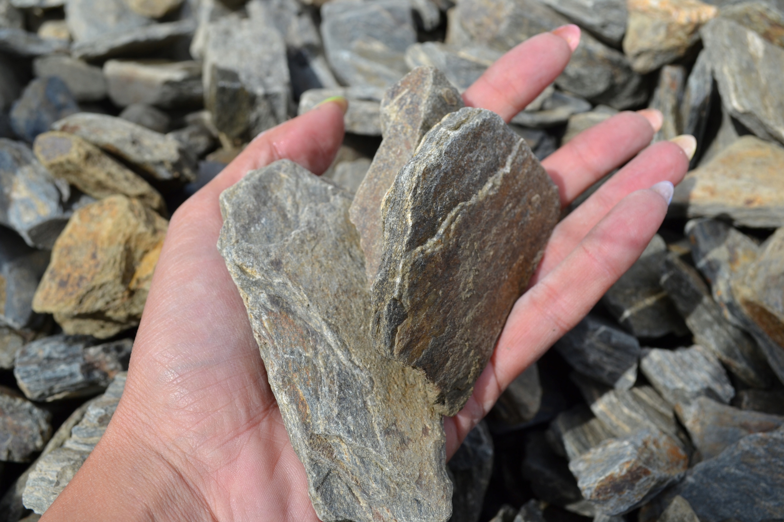 Kora szarogłazowa 30-63 mm kamień ogrodowy 10 kg Kod producenta 3635