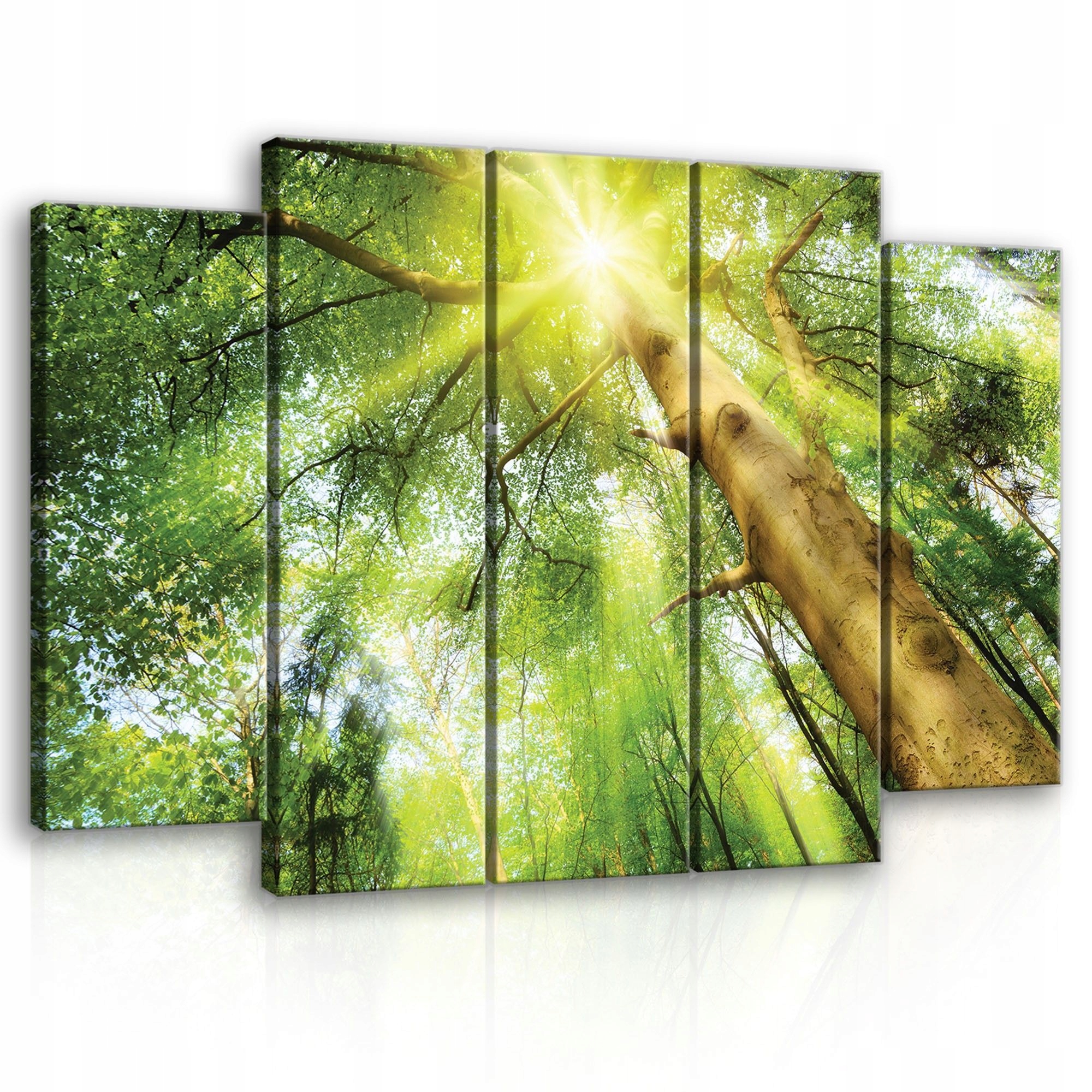 Obraz na plátně 150x100 Zelený les za denního světla