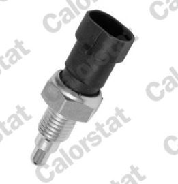 Переключатель, задний фонарь Calorstat by Vernet RS5515