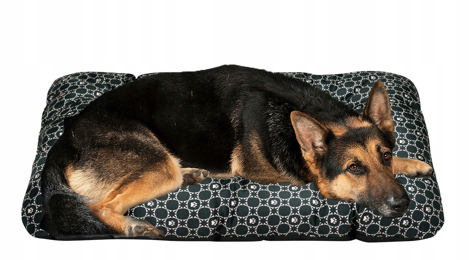 Levně Polštář pelíšek pro psa 100x70 Louis Balck