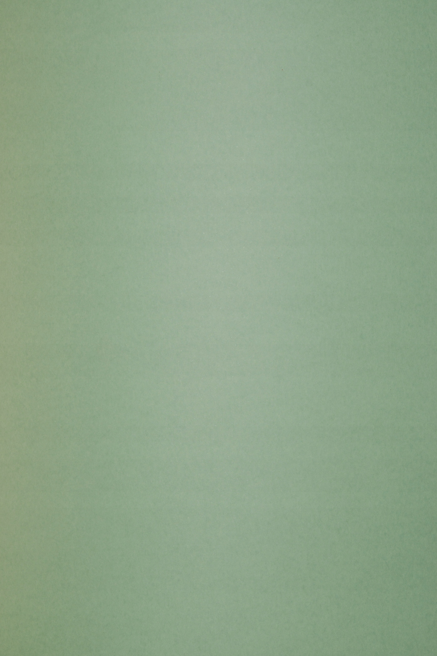

Papier Keaykolour 300g Matcha Tea khaki 10A4