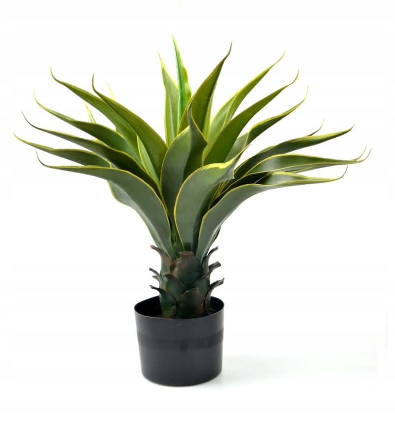 

Sztuczna Agawa żółto-zielona 58cm nr 18D