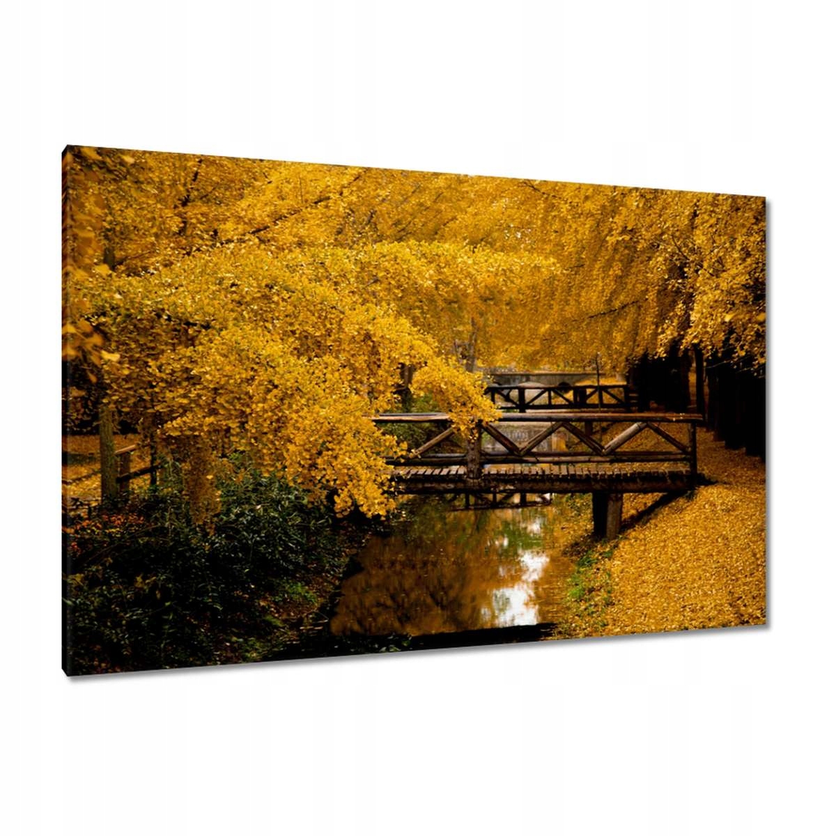 Obrazy 120x80 Krajina Pohled