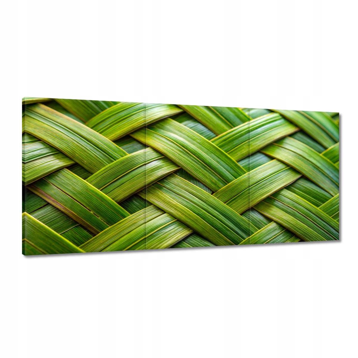 Obrazy 210x100 Zelená pletenina Zelený ratt