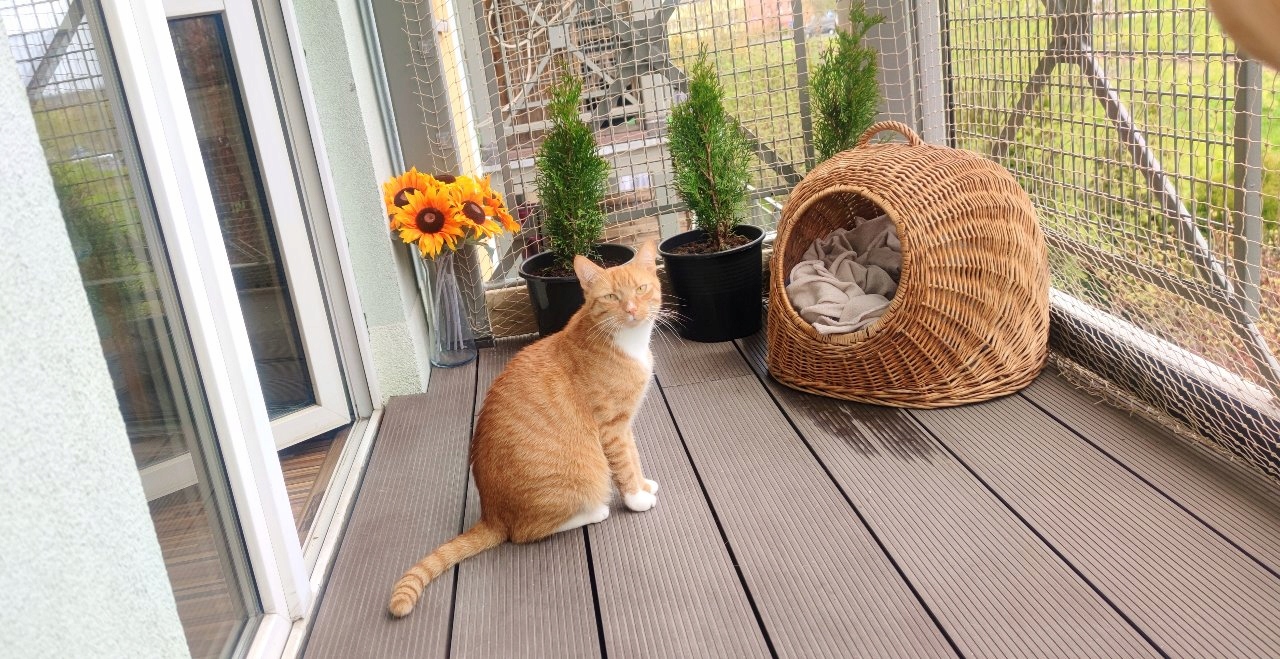 ZESTAW SIATKA NA BALKON 6x3 DLA KOTA WZMOCNIONA DRUCIKIEM BEZ WIERCENIA Wymiary 6x3 m