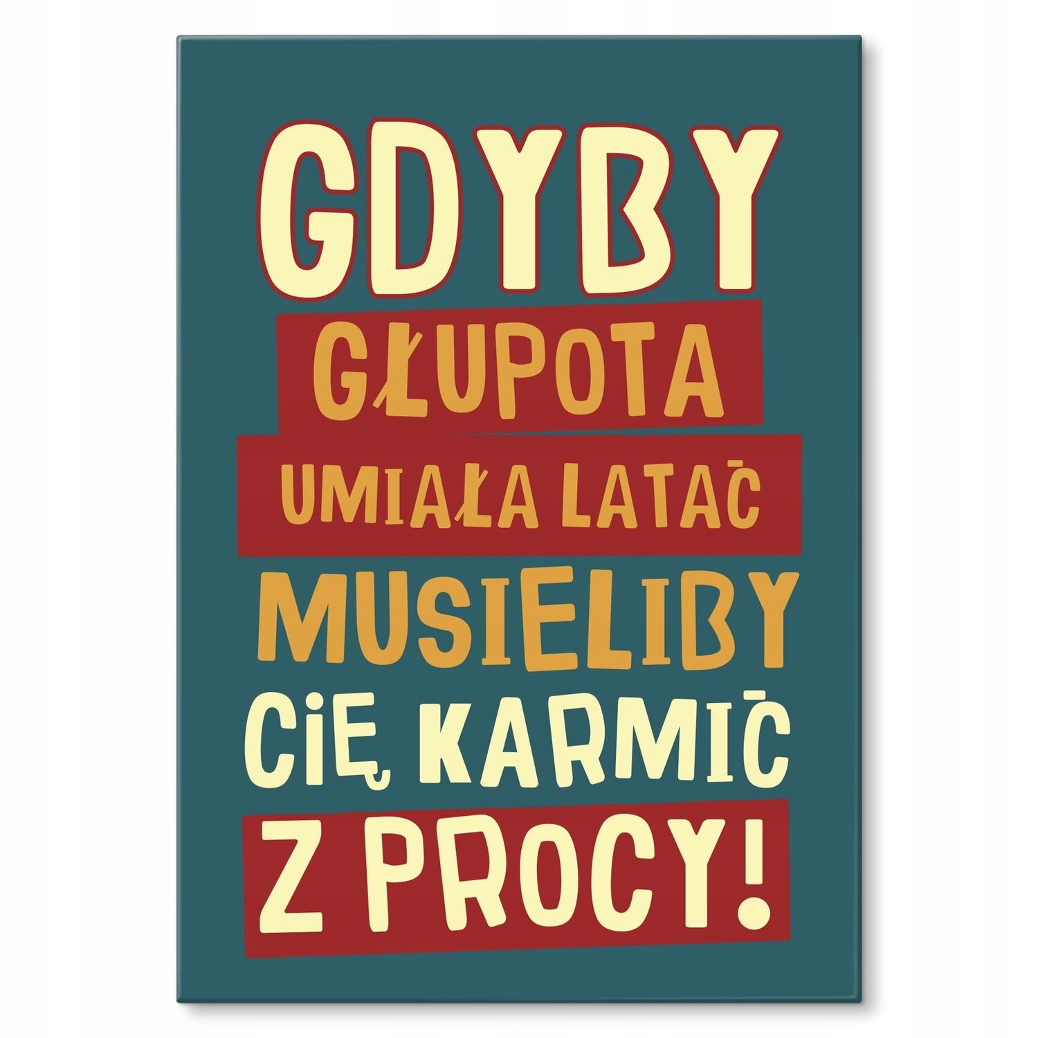 Kovový plakát kdyby blbost Štítek Plech 42 x 59,4 cm Dárek