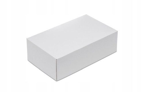 

Karton wykrojnikowy biały 300x180x100mm Pudełko