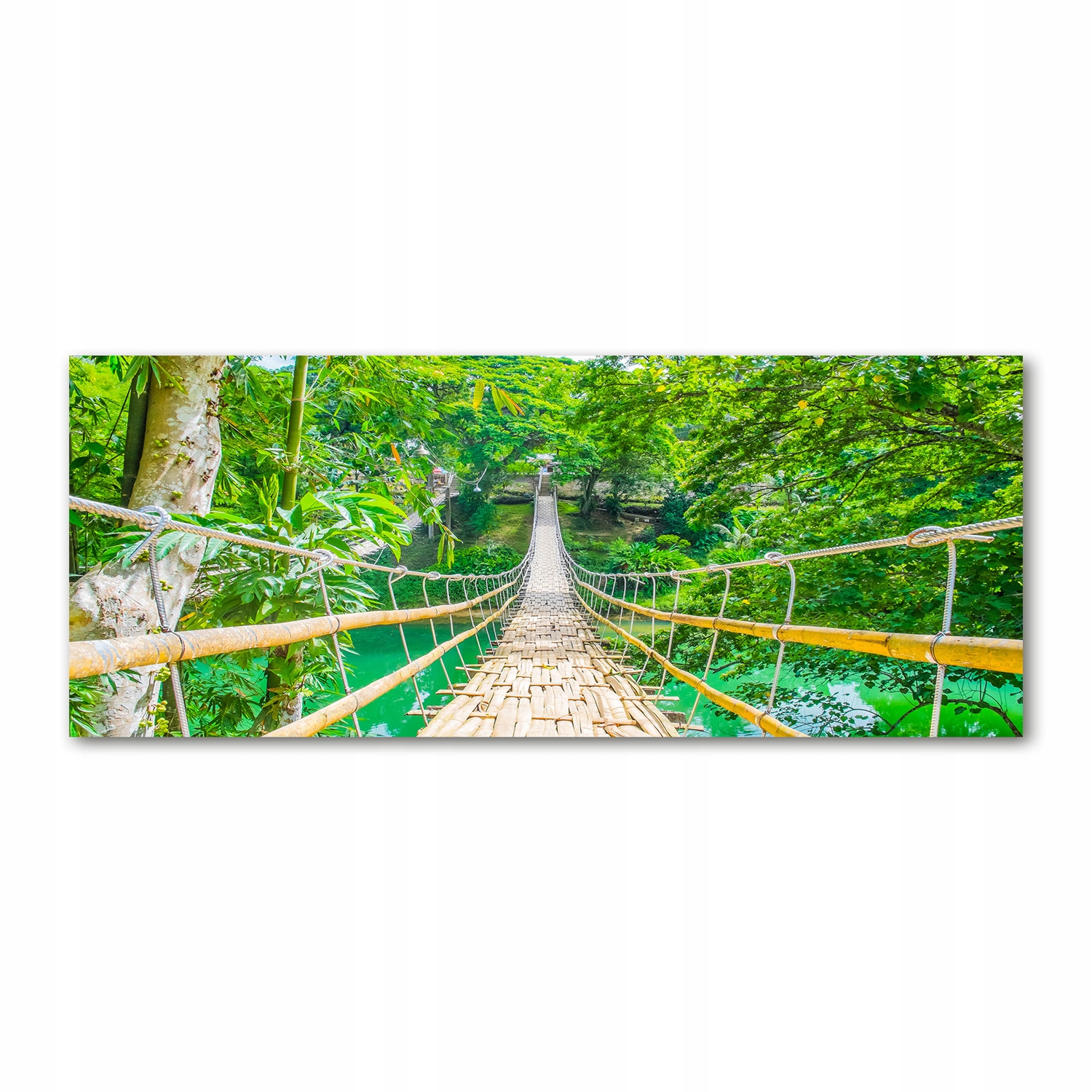

Foto obraz szkło akryl Most las bambusowy 125x50cm