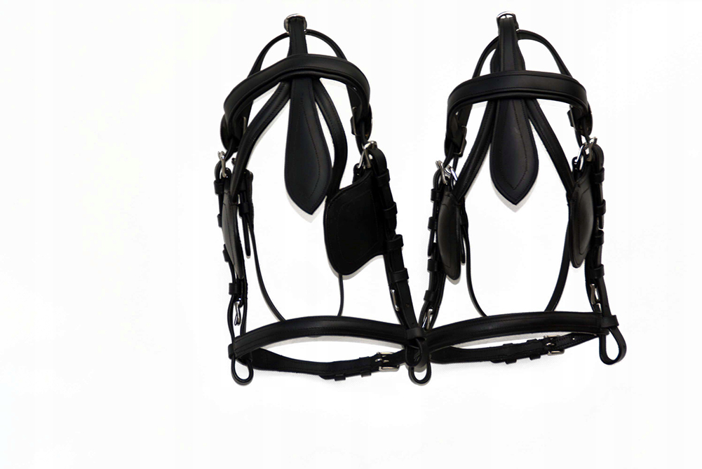 Ohlávka S Brýlemi Na Poníka