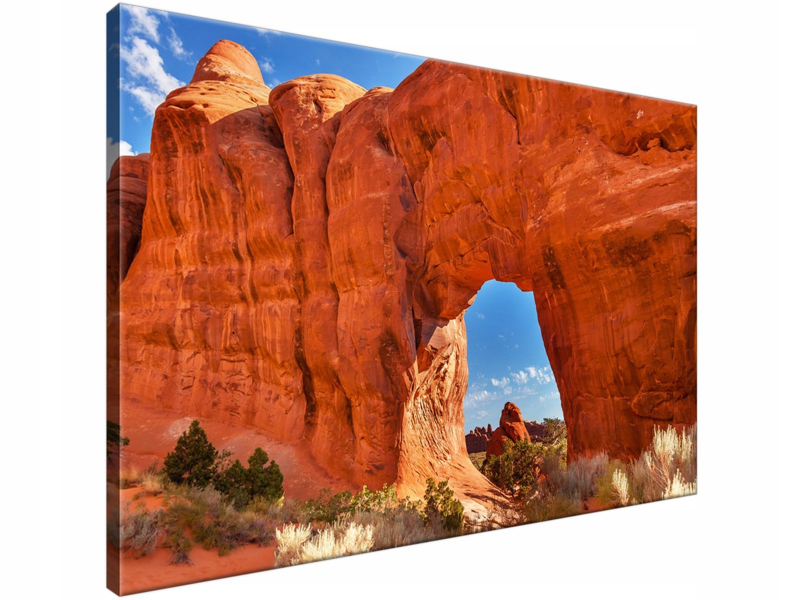 

Obraz drukowany Park Moab w Utah 90x60 producent