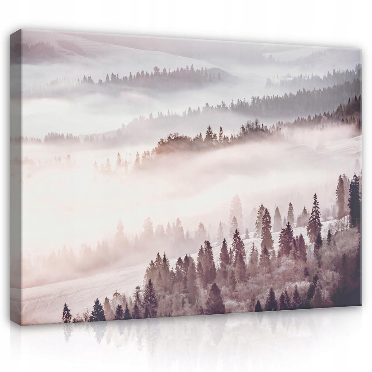 Obraz Na Plátně Canvas 100x75 Les Zima Hory Výhled