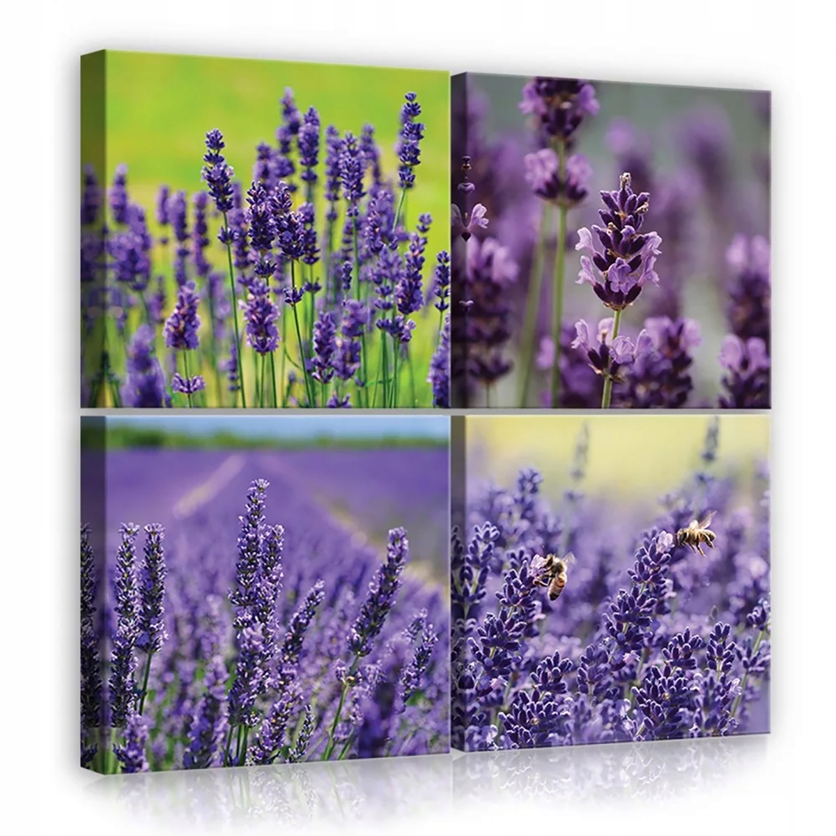 Obraz Na Plátně Canvas 50x50 Levandule Květiny