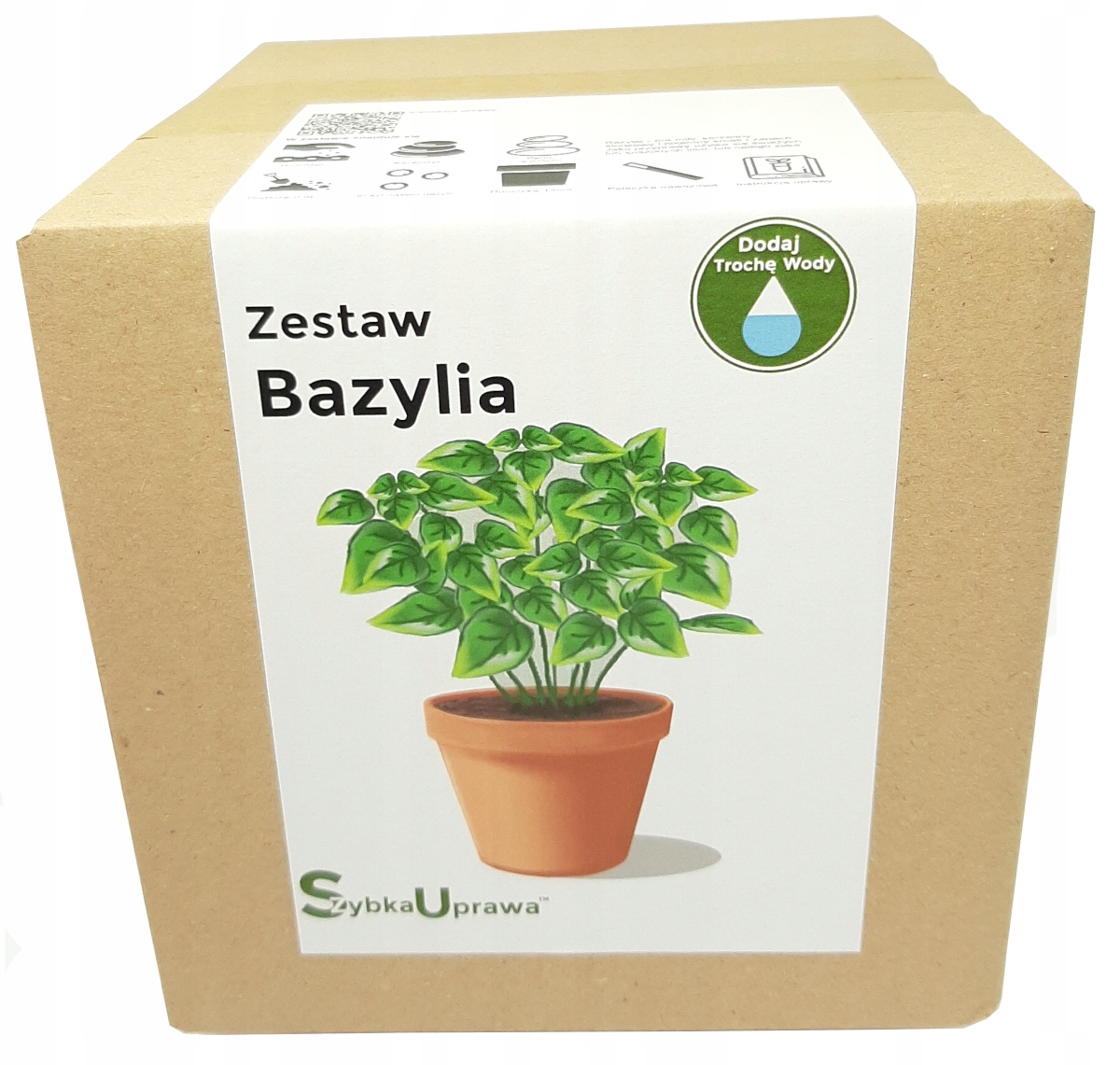 

wspaniały na Dzień Ojca Bazylia 03