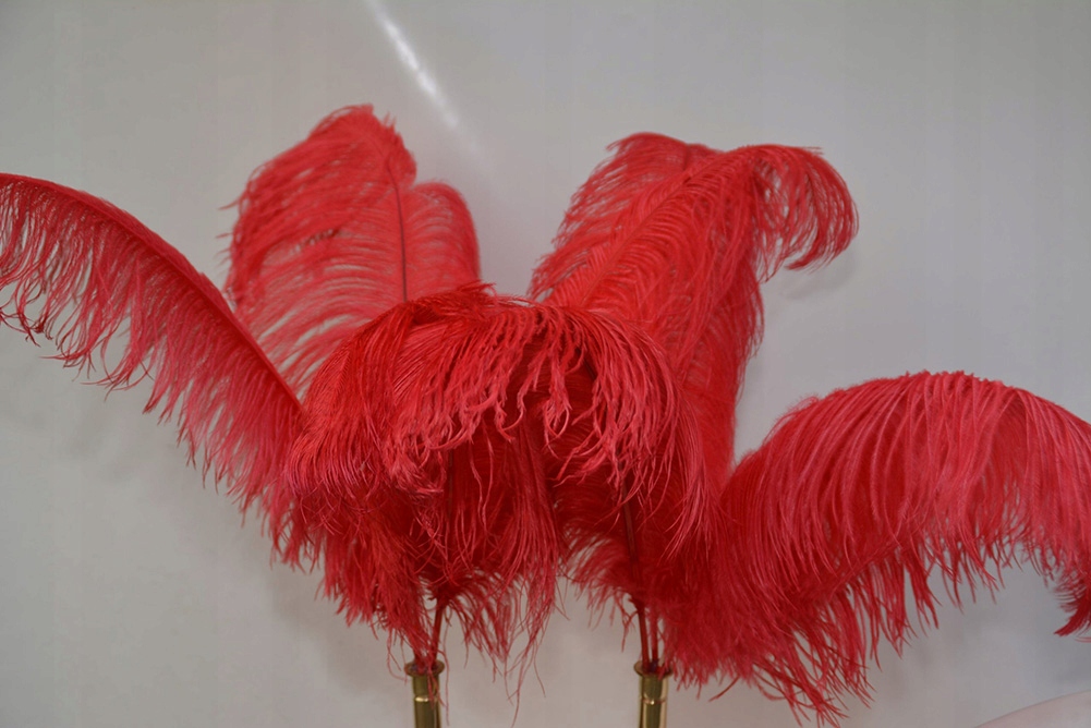 PIÓROPUSZ DO ZAPRZĘGU -STRUSIE PIÓRA