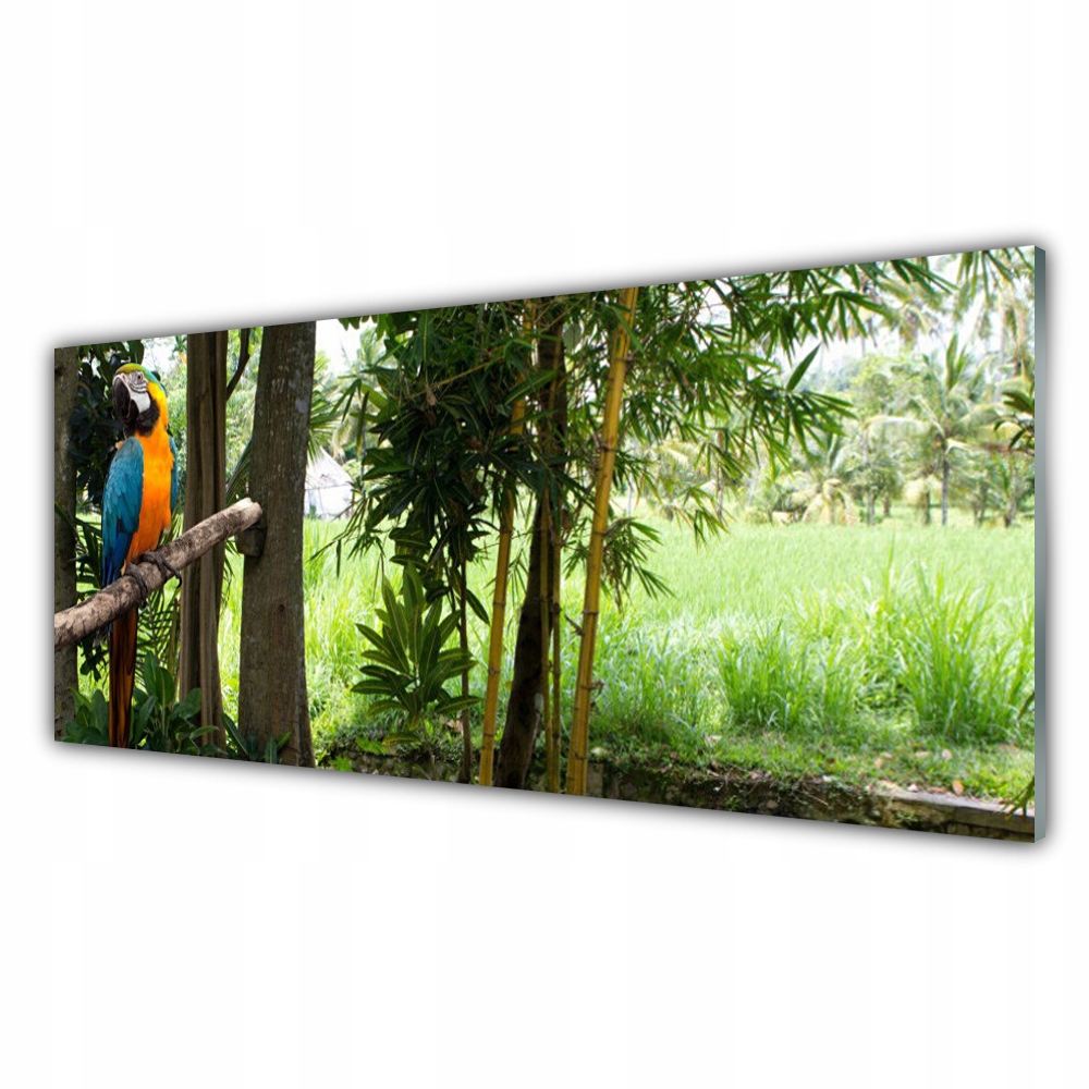 

Fotoobraz nowoczesny 125x50 Papuga Drzewa Natura