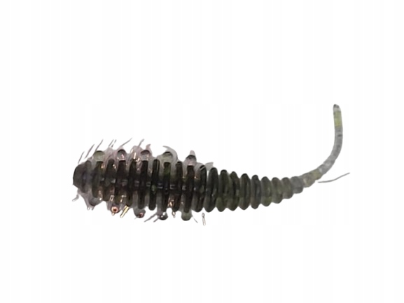 Fish Bay Robak Hairy Uv K 4,5cm jak Tanta FBHW45UVK