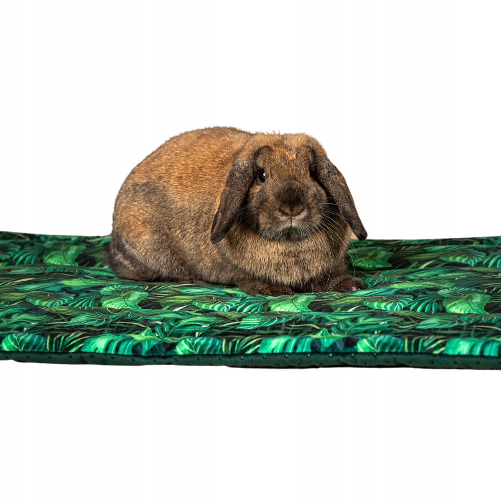 Levně Kraina Tuptusia podložka pro morče 50x76 cm různé barvy a materiály