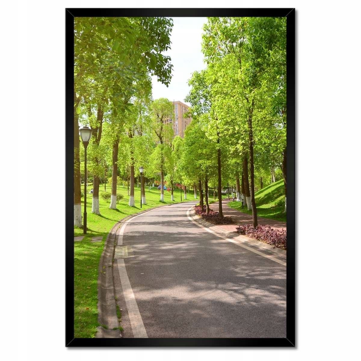Plakáty v rámu 40x60 Cesta v parku příroda