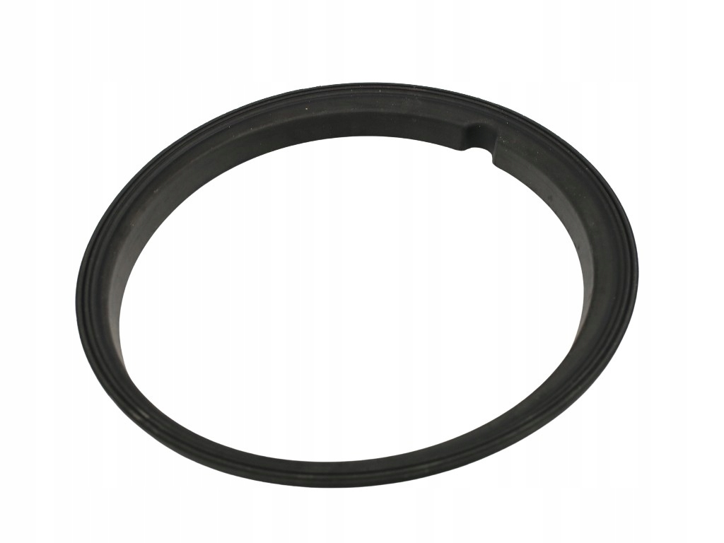 USZCZELKA POMPY PALIWA do CITROEN Nemo Producent części Fast