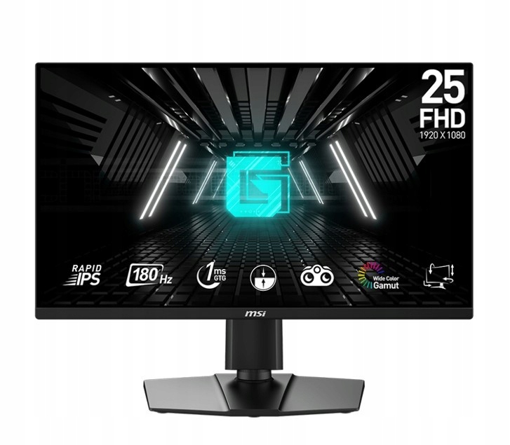 Msi Monitor G255PF E2 24,5 palců LED/FHD/Flat/180 Hz/černý