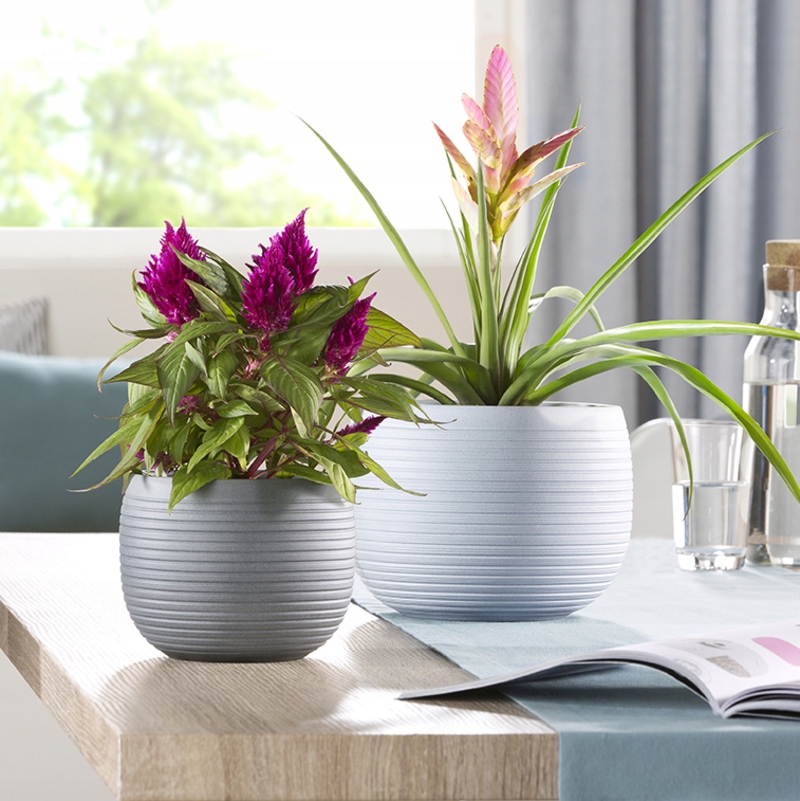 Okrągła osłonka ceramiczna brązowa 18 Scheurich Marka Scheurich