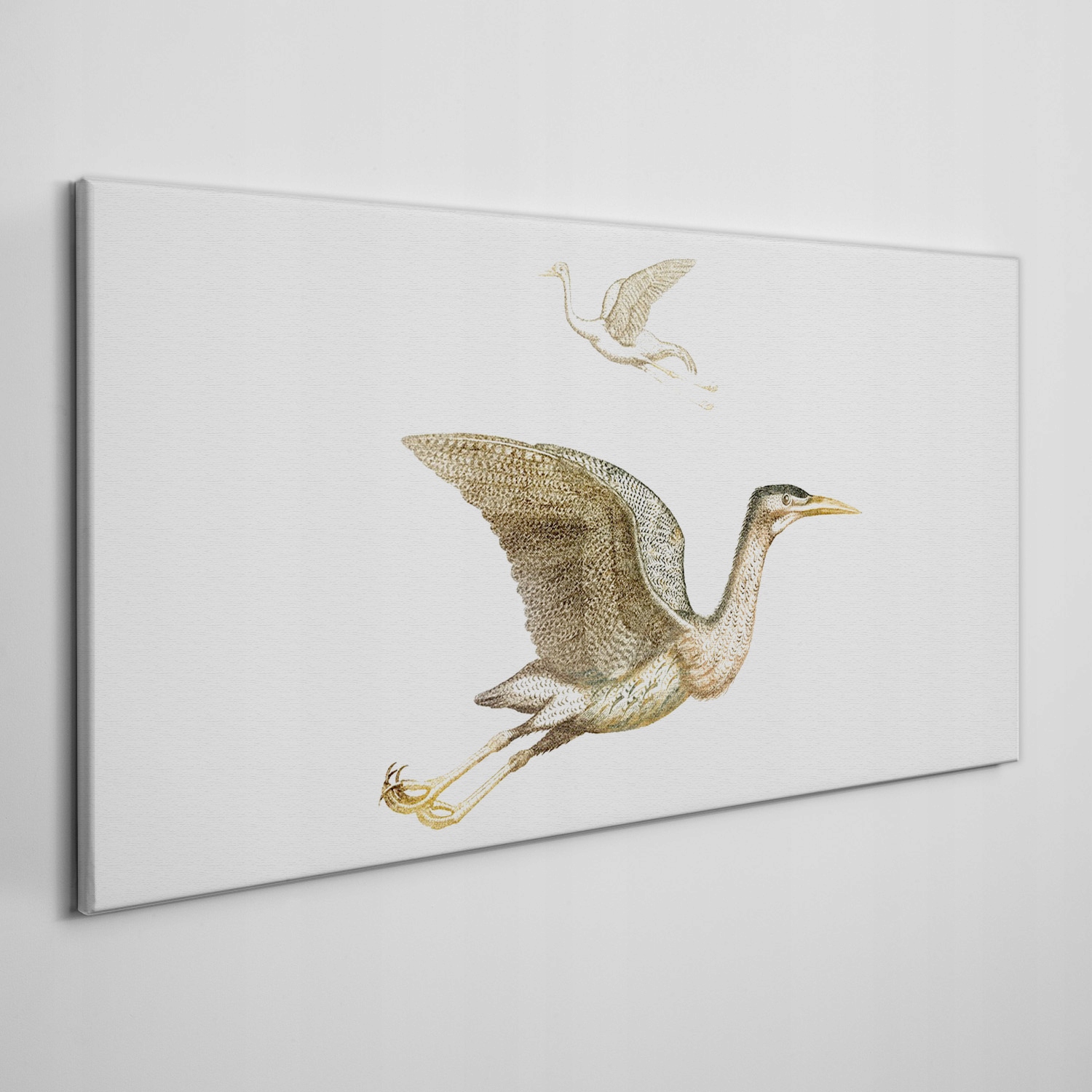 

Płótno foto obraz na ramie Zwierzęta ptaki 120x60