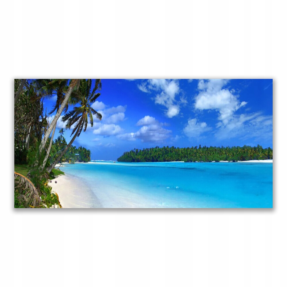 

Fotoobraz akryl ścienny 120x60 Plaża Palmy Morze
