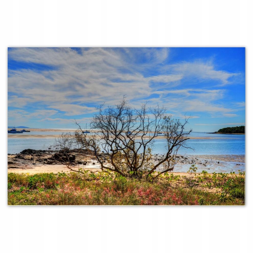 

Plakat 93x62 Widok z plaży