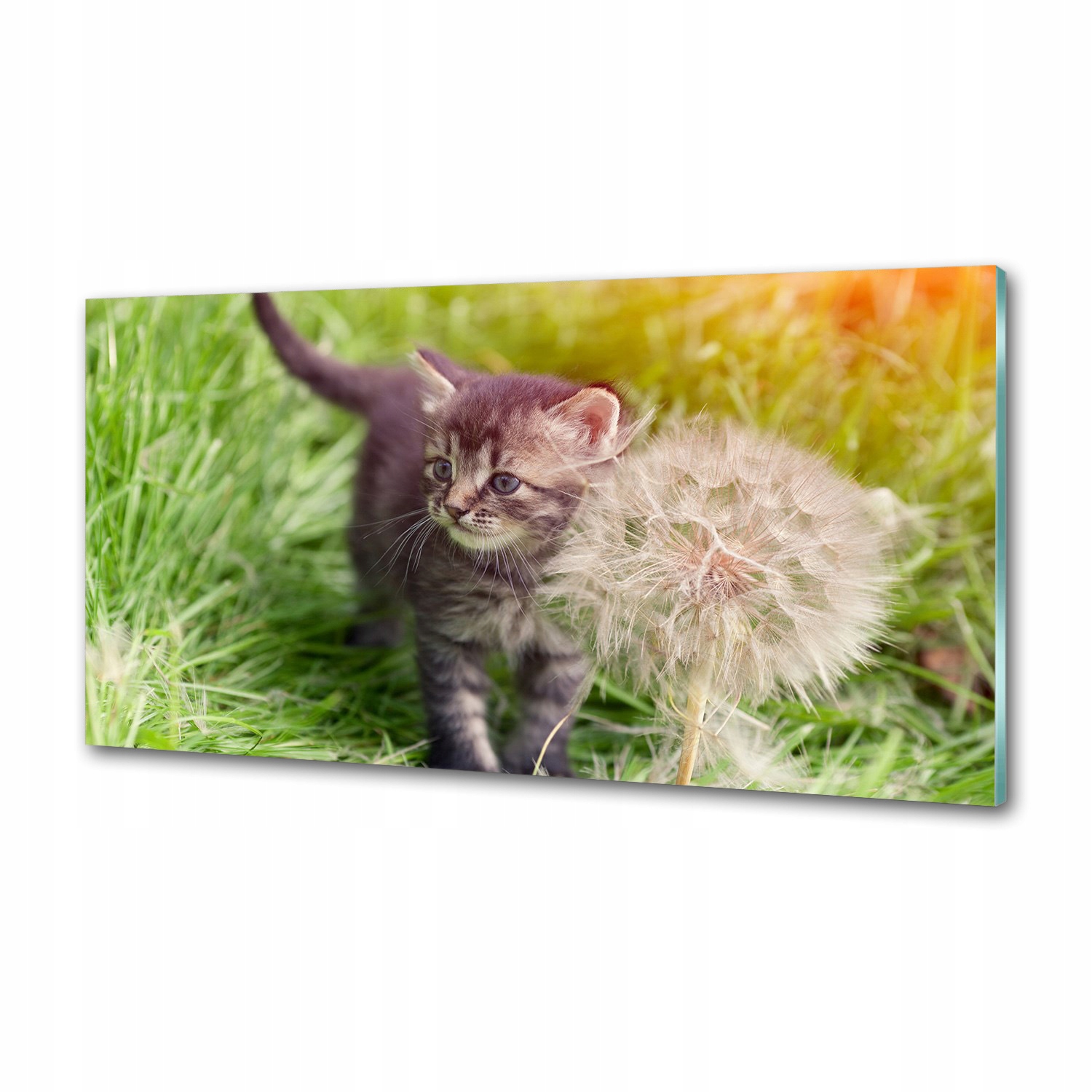 Panel do kuchyne Mačiatko s dúchadlom 120x60 Lepidlo