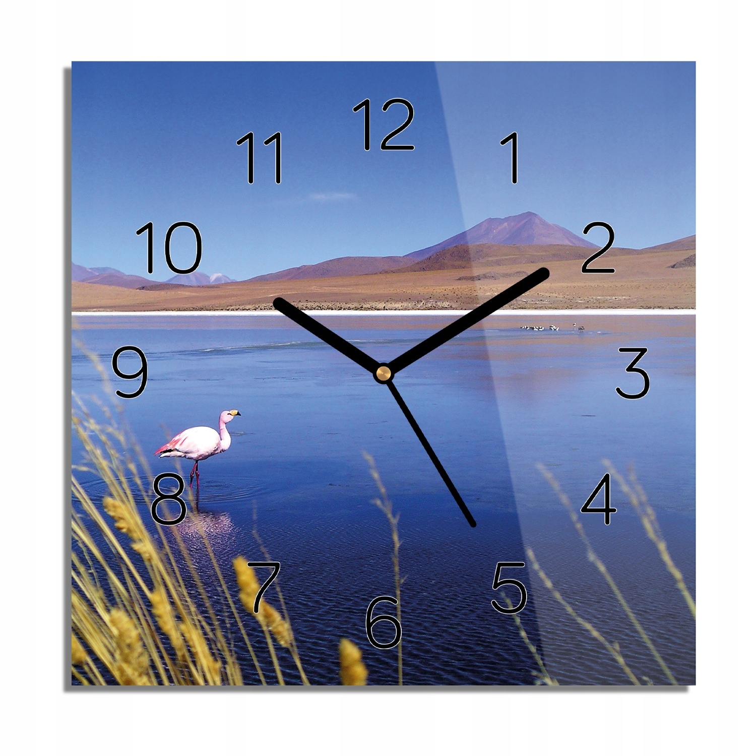 

Morze ptak góry zegar na szkle cichy 30x30 z foto