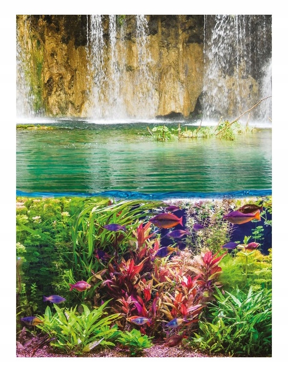 Vliesová fototapeta Tropický vodopád Ryby Příroda Relax 206x275 lepidlo