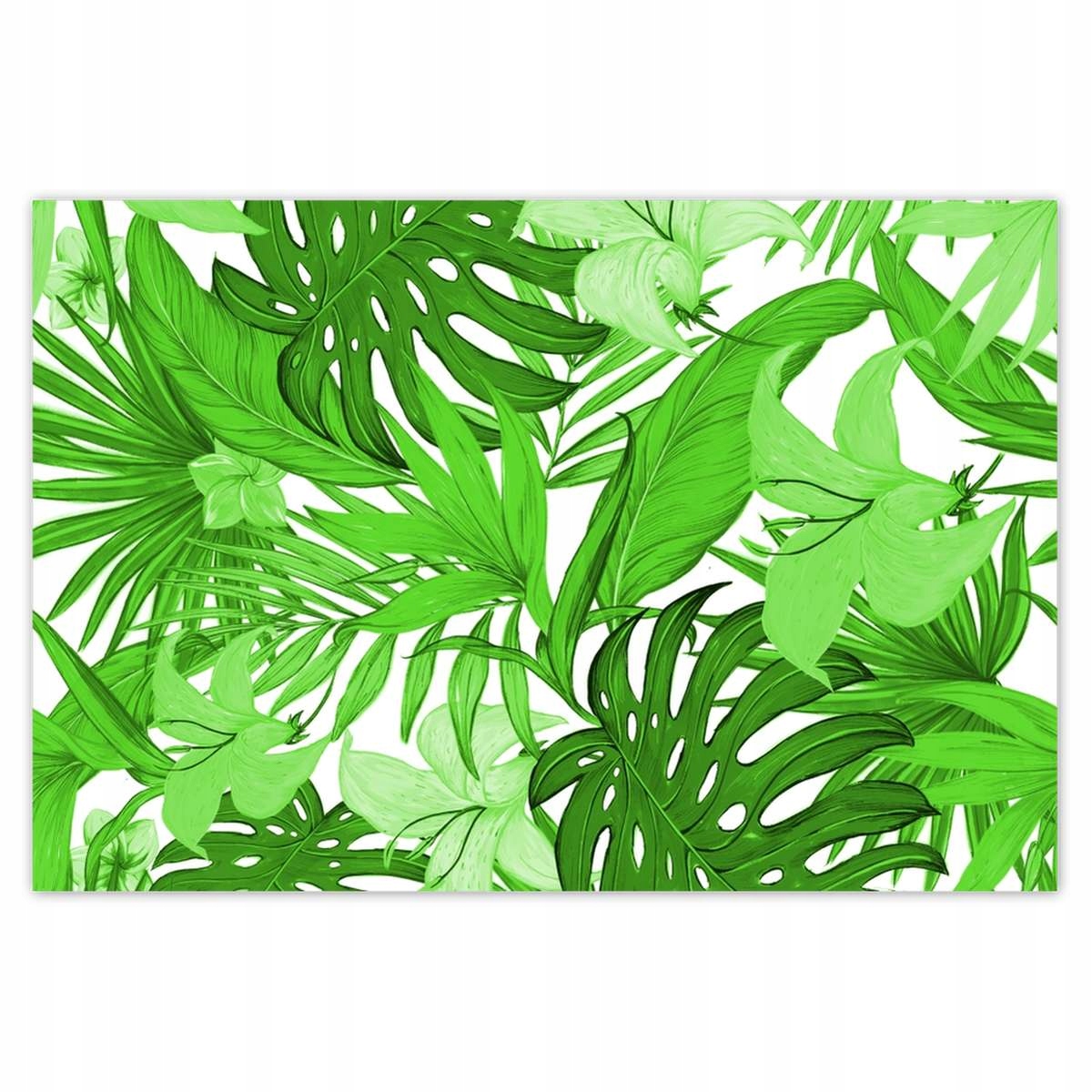 Plakáty 200x135 Leaves Monstera Nový vzhled